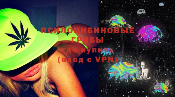 прущий лед Каменка