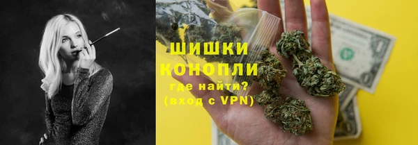 сатива Каменногорск