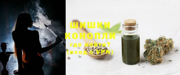 сатива Каменногорск