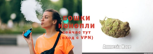 сатива Каменногорск