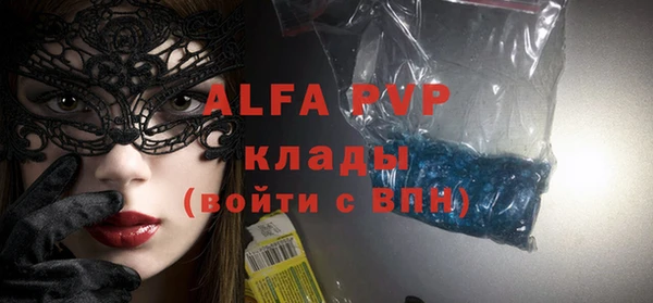 сатива Каменногорск