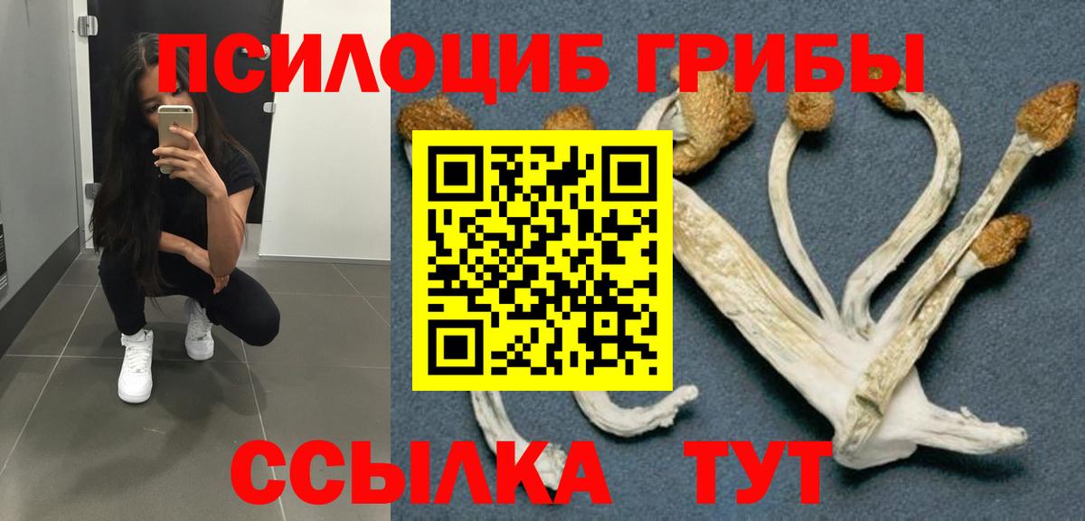 Псилоцибиновые грибы Psilocybine cubensis  Вход с VPN  где можно купить   Кандалакша 